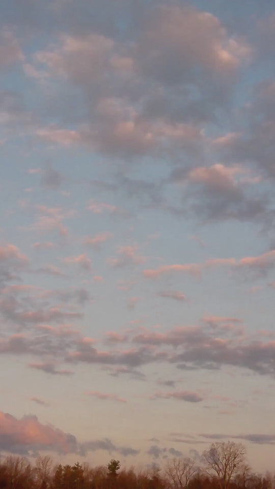 Kantha Quilt Set-Tropical